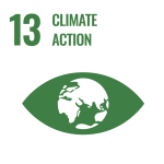 Icon for Climate Action featuring a green eye shape with a globe in the center, accompanied by the text "13 CLIMATE ACTION" above.
