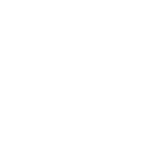 White icon featuring the word "AUDIT" above a shield with a checkmark, symbolizing security and verification.