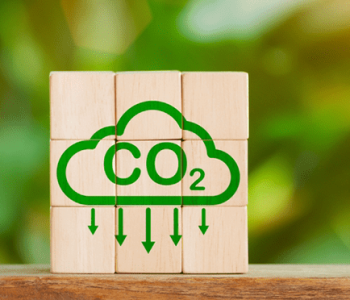 Carbon Reduction Commitment by greest