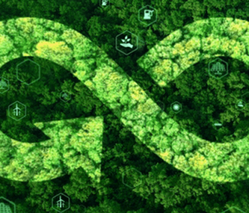 Circular Economy by greest